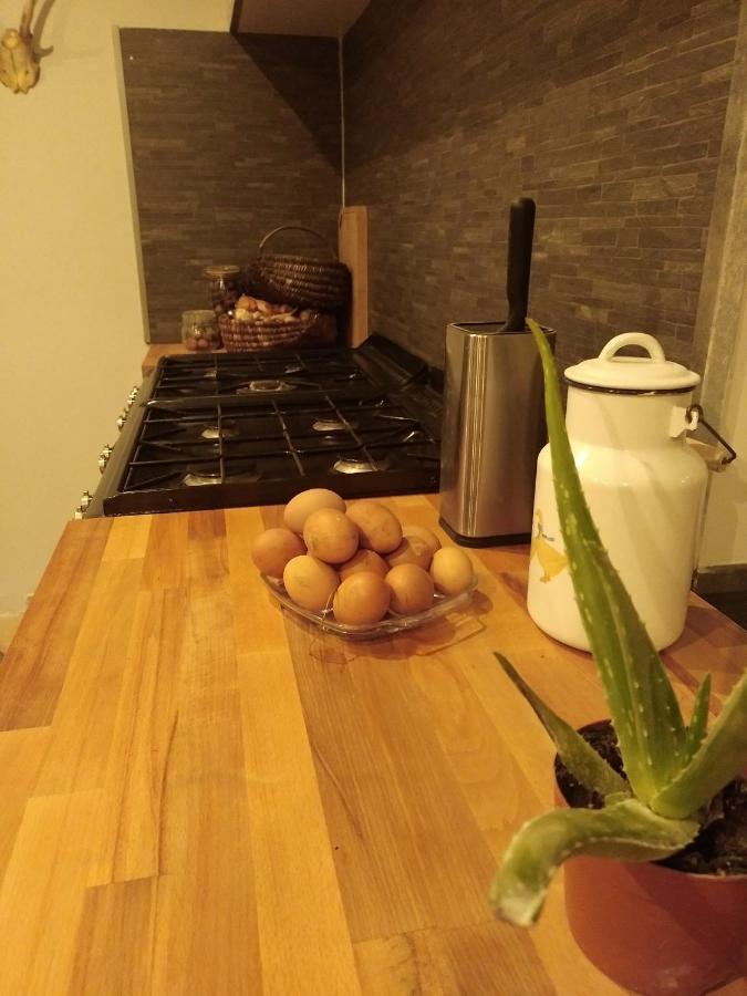 Le Bonheur En Bretagne Hotel Rouillac  Ngoại thất bức ảnh